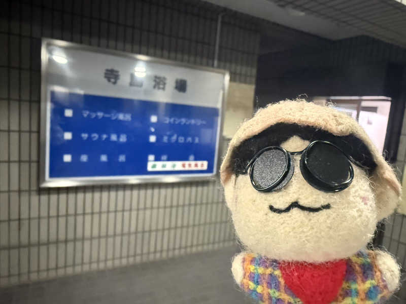 わいるどさんの寺島浴場のサ活写真