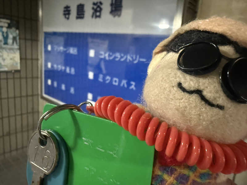 わいるどさんの寺島浴場のサ活写真