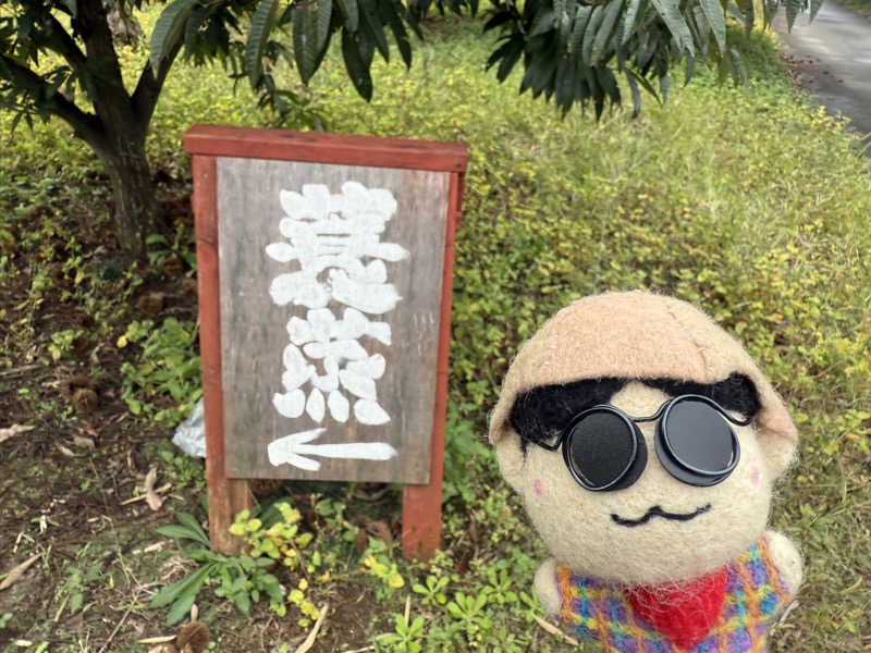 わいるどさんのサウナ蓑蒸のサ活写真