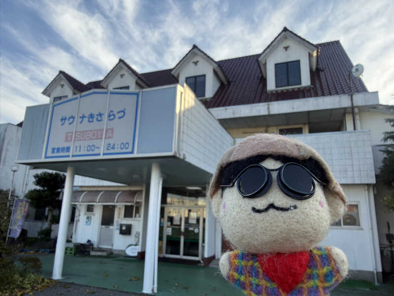 わいるどさんのサウナきさらづ つぼやのサ活写真