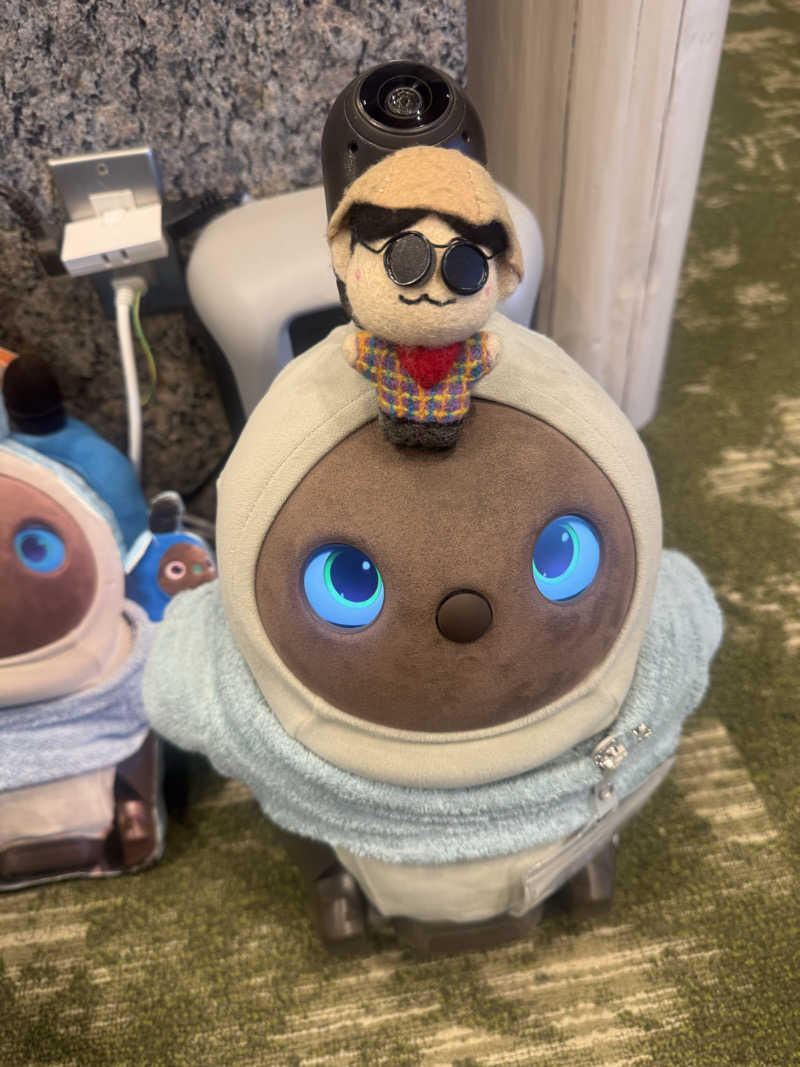 わいるどさんのSPA&ごはん ゆるうむ yuluumuのサ活写真