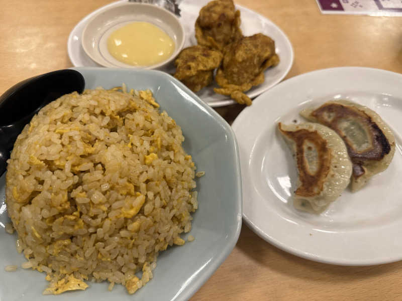 わいるどさんの湯乃泉 草加健康センターのサ活写真