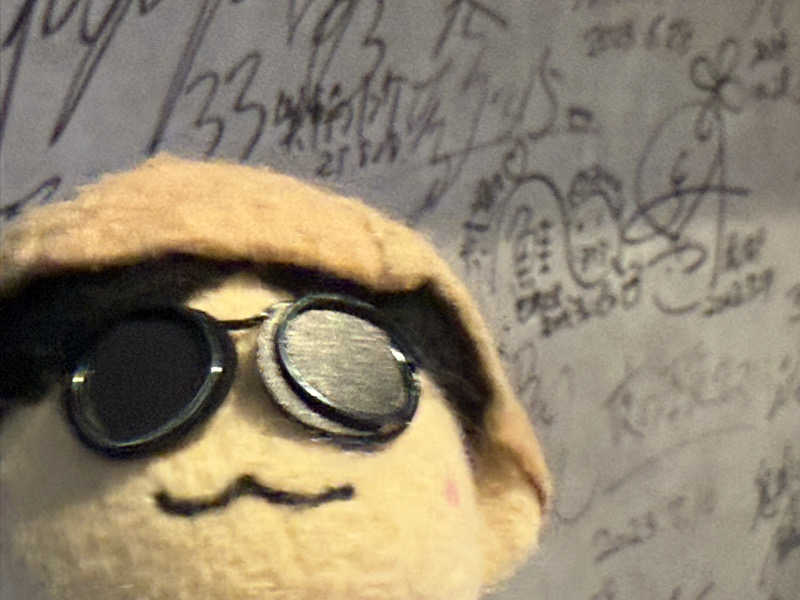 わいるどさんの大阪サウナDESSEのサ活写真