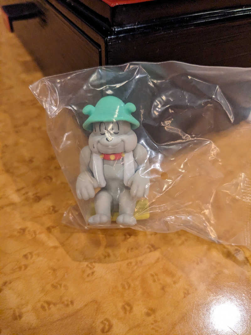 ほのみさんのていね温泉ほのかのサ活写真