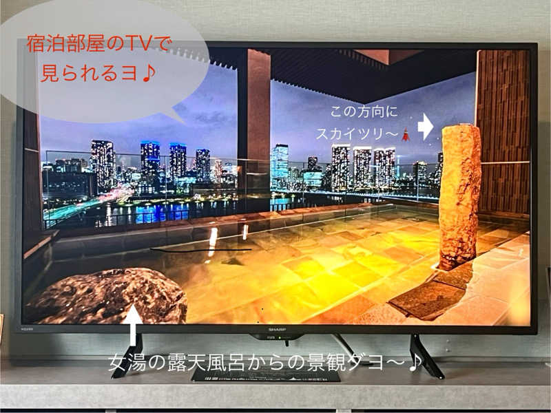 ぎっちゃんさんのラビスタ東京ベイのサ活写真