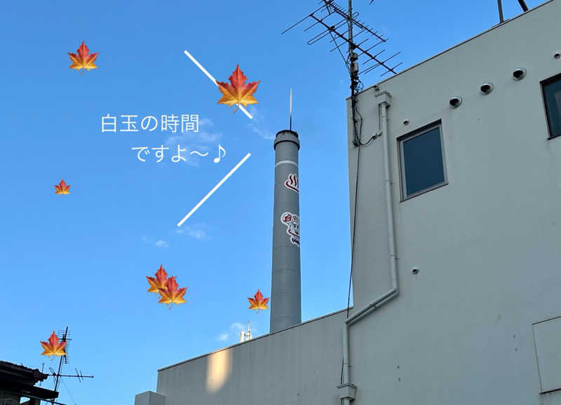 ぎっちゃんさんのユートピア白玉温泉のサ活写真