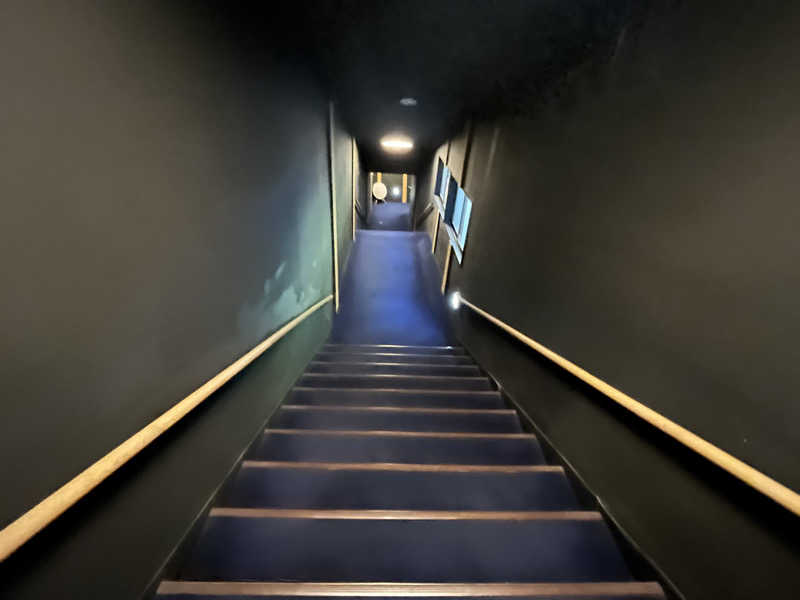 ぎっちゃんさんの御船山楽園ホテル  らかんの湯のサ活写真