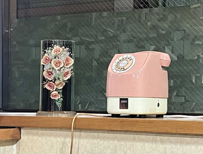 ぎっちゃんさんの日光温泉のサ活写真