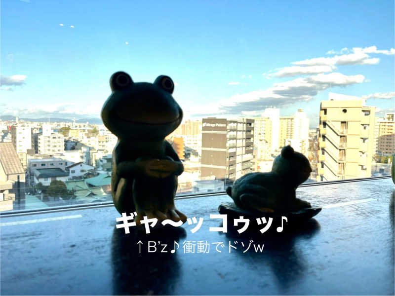 ぎっちゃんさんの天然温泉 なにわの湯のサ活写真