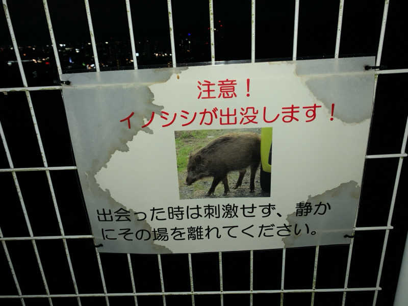 やなぎさんのまるた屋温泉 西方の湯のサ活写真