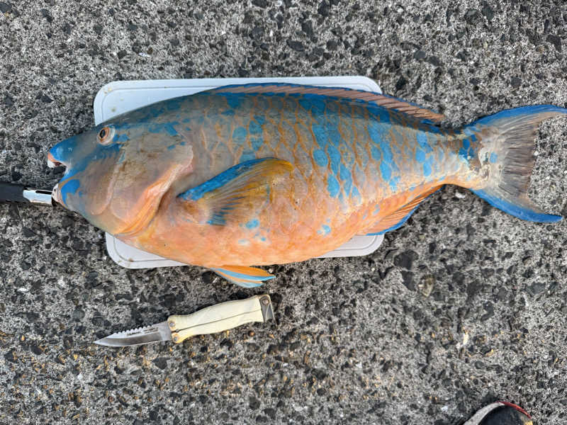 Jun51さんのねじめ温泉・ネッピー館のサ活写真