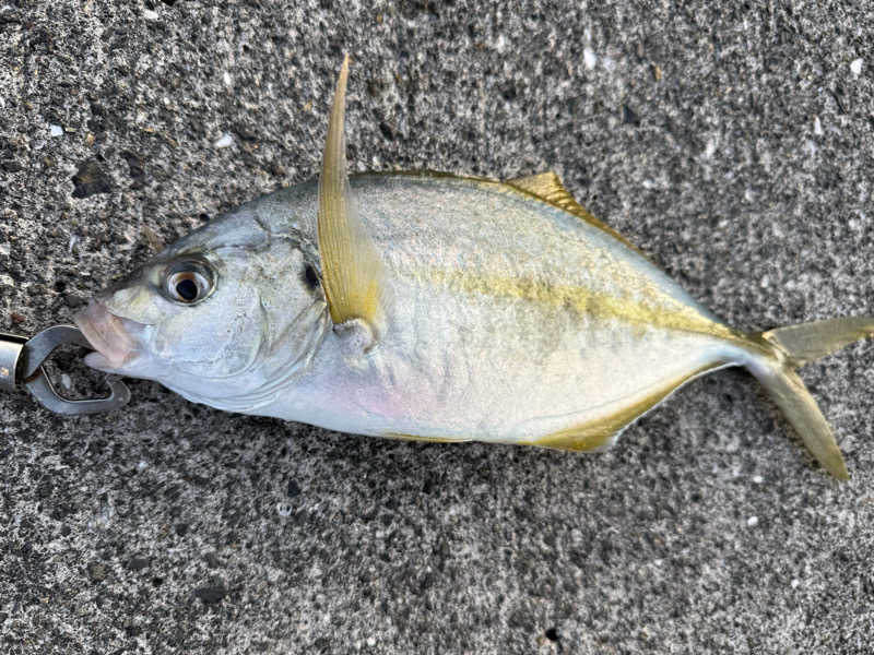 Jun51さんのホテル大藏のサ活写真