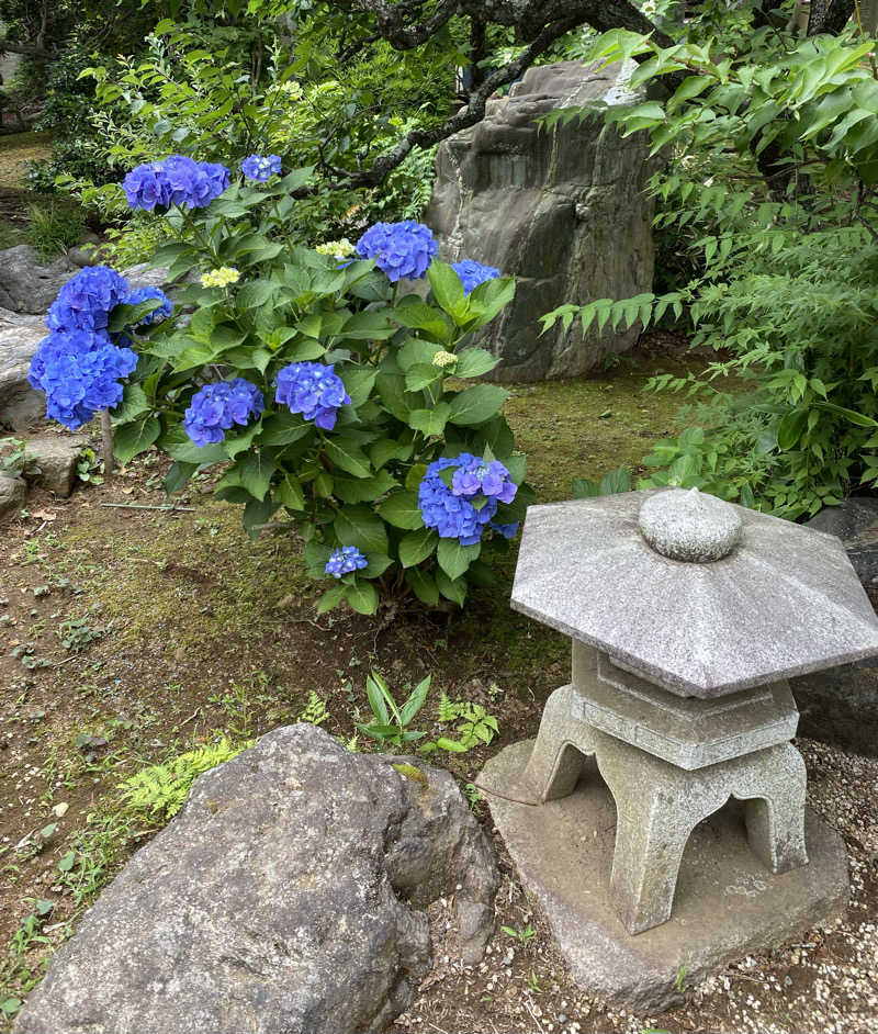 よっしぃさんの成田の命泉 大和の湯のサ活写真
