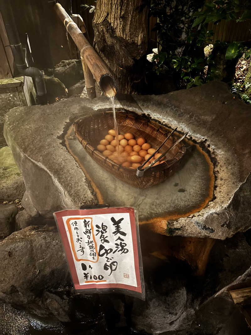 Toshiさんのいこい旅館のサ活写真