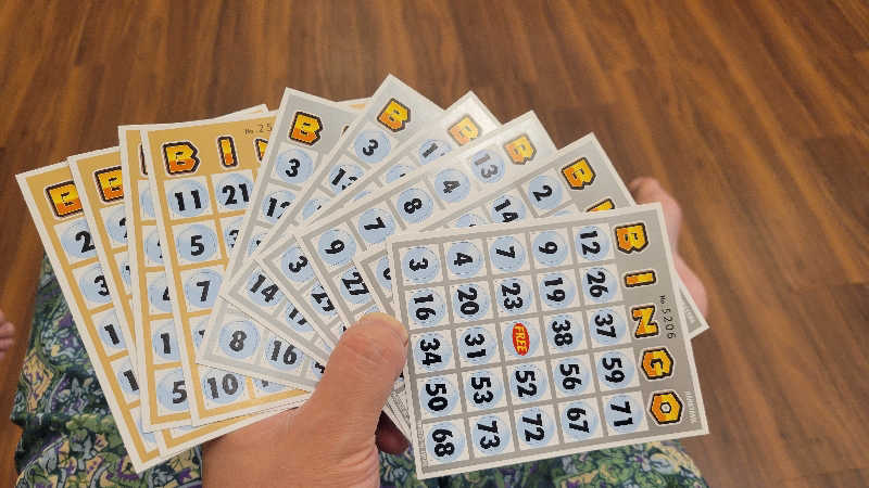 だいじょーさんの湯乃泉 東名厚木健康センターのサ活写真