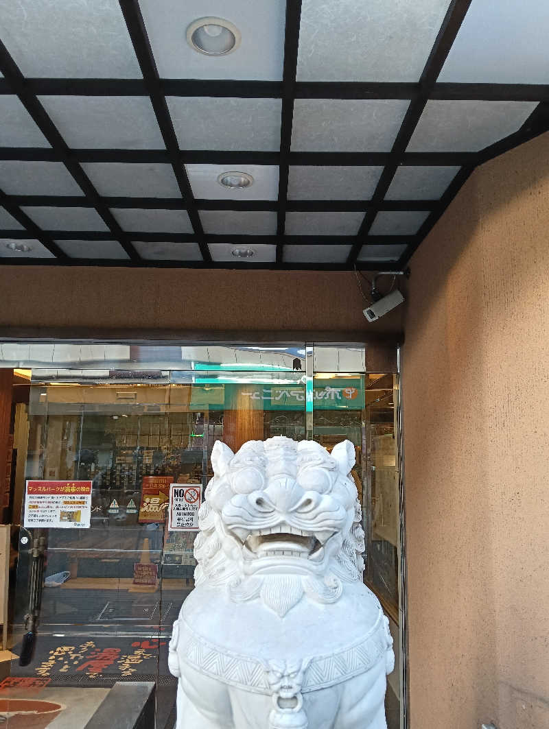 ドナウ川の漣さんのなにわ健康ランド 湯〜トピアのサ活写真