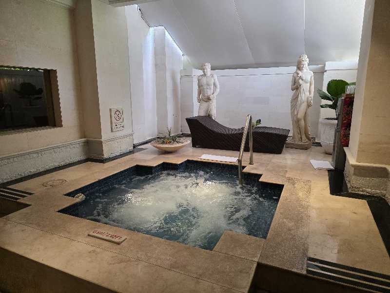 Nao Naoさんのインターコンチネンタル バリ リゾートのサ活写真