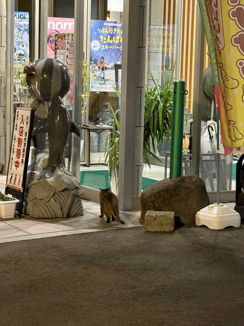 kojiさんのスパリゾート ゆに〜いくのサ活写真