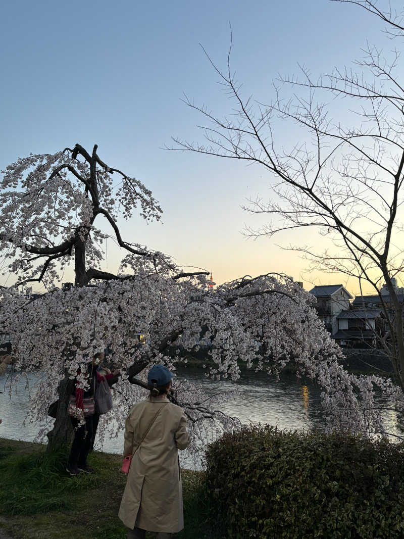 YONさんの梅湯のサ活写真