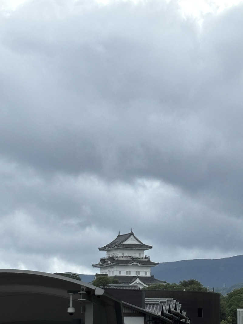 サウナの女さんの小田原お堀端 万葉の湯のサ活写真