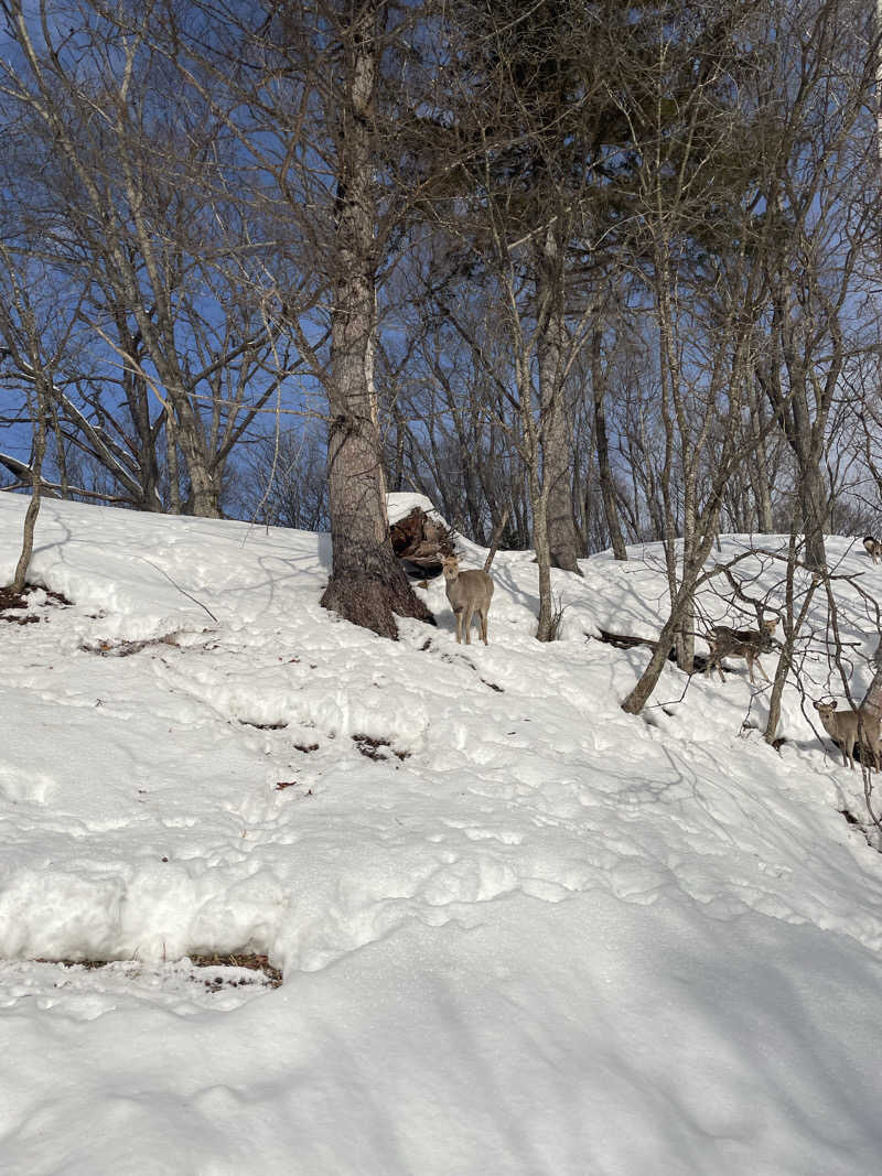 galacticomanさんのカムイの湯 ラビスタ阿寒川のサ活写真