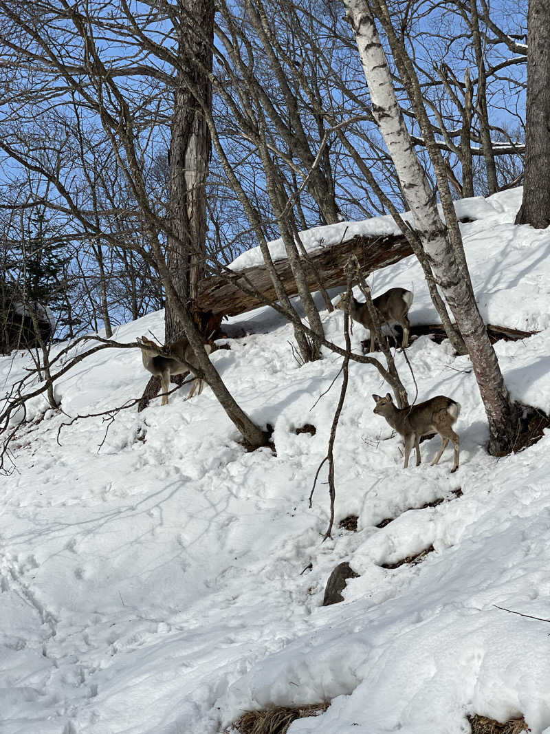 galacticomanさんのカムイの湯 ラビスタ阿寒川のサ活写真