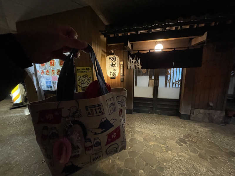 岡崎夢晒さんの大谷田温泉 明神の湯のサ活写真
