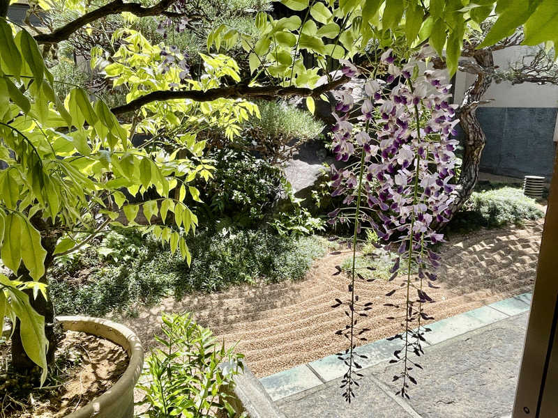 岡崎夢晒さんの前野原温泉 さやの湯処のサ活写真