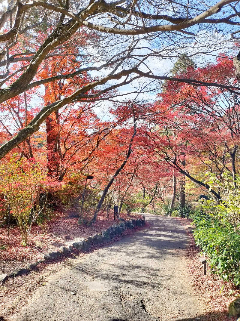 鬼灯812さんの御船山楽園ホテル  らかんの湯のサ活写真