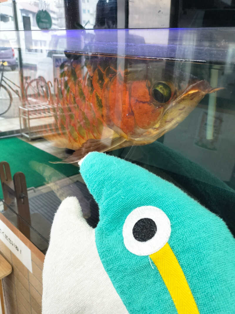 鬼灯812さんの一本桜温泉センターのサ活写真
