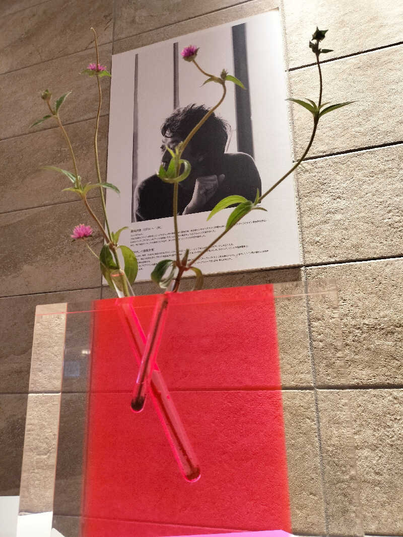 鬼灯812さんの源泉掛け流し温泉 妻湯のサ活写真