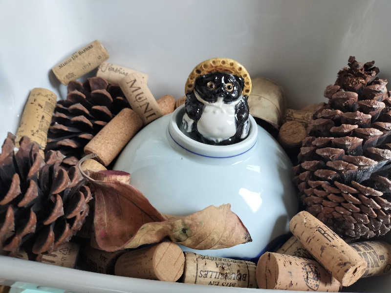 鬼灯812さんの宗像王丸・天然温泉 やまつばさのサ活写真