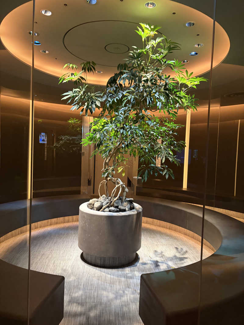 ピコミヤさんのO2プラージュのサ活写真