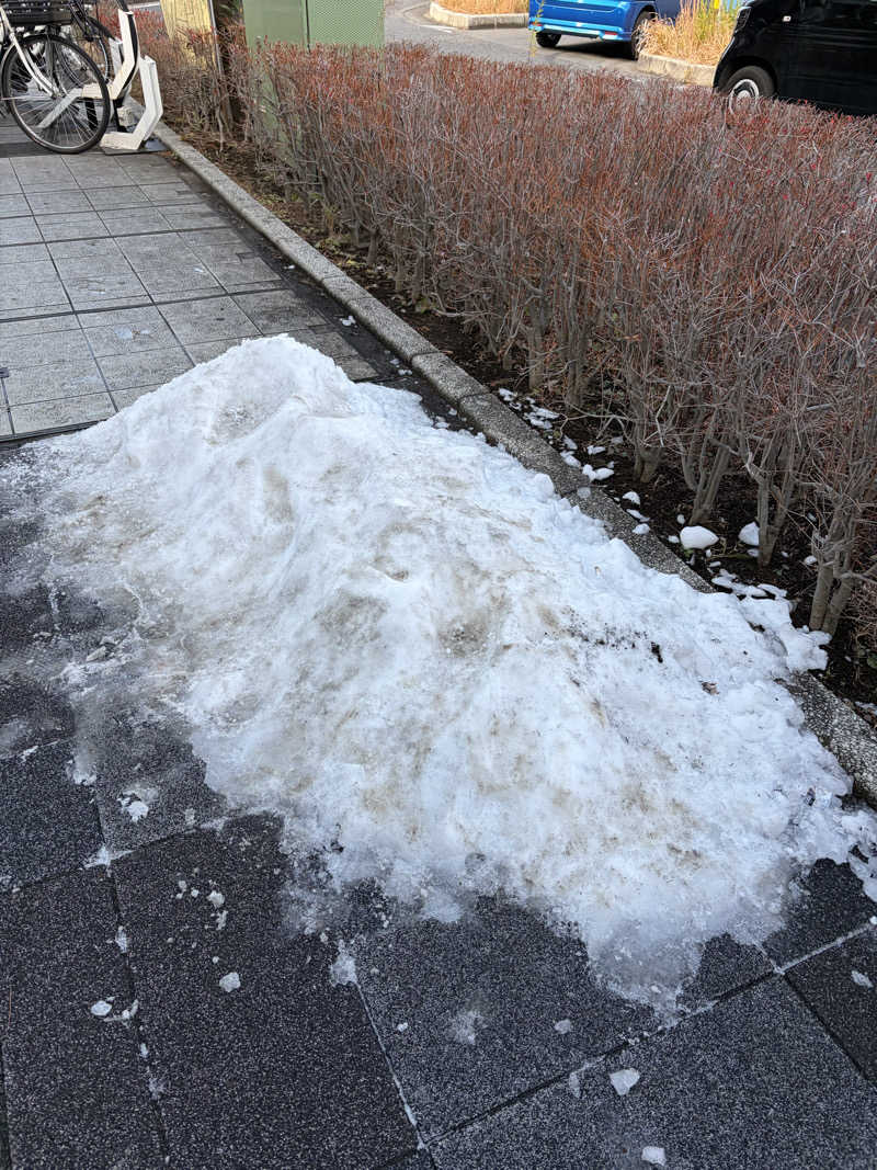 ピコミヤさんの朝霞サウナ 和(なごみ)のサ活写真