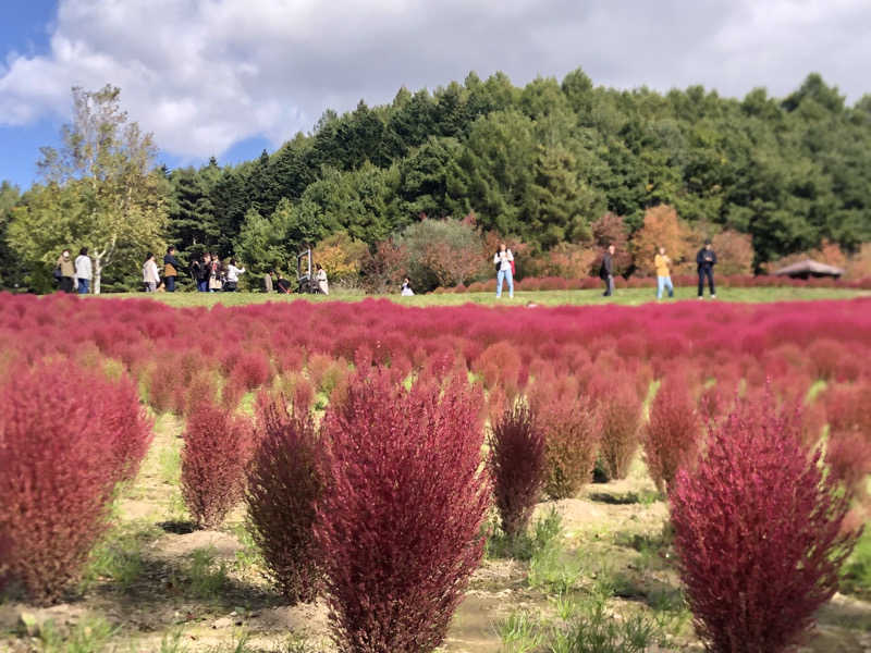 ノーサイドさんのユンニの湯のサ活写真
