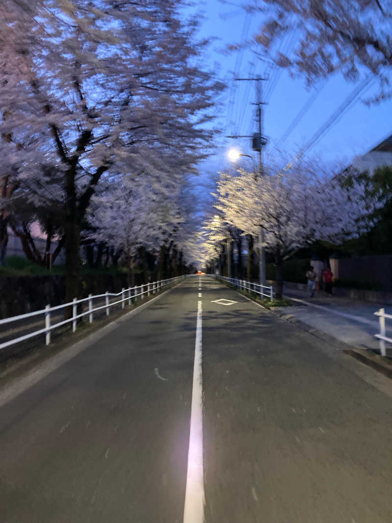 kimoさんの府中湯楽館 桜湯のサ活写真