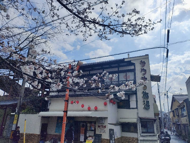 トトノイーヌさんのサウナの梅湯のサ活写真