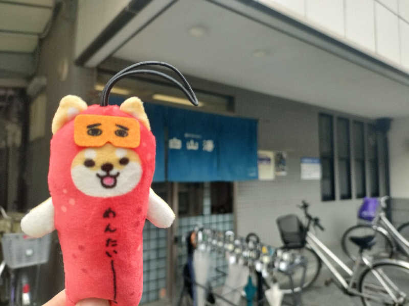 トトノイーヌさんの白山湯 高辻店のサ活写真
