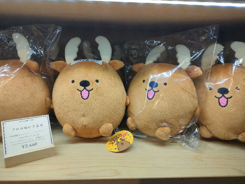 トトノイーヌさんの奈良健康ランドのサ活写真