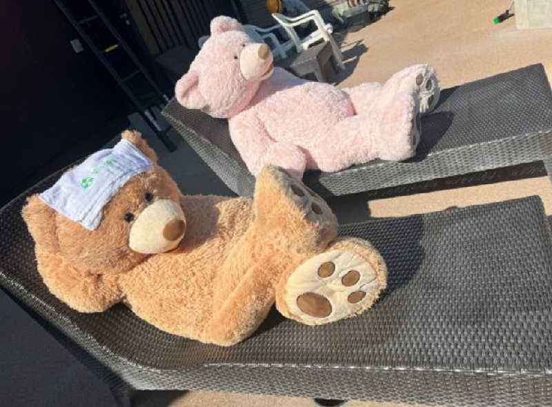 ジャッキーさんの西尾温泉 茶の湯のサ活写真