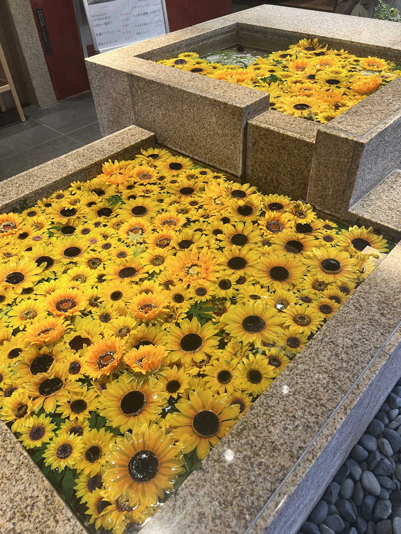 キャラメルボックスさんの綱島源泉 湯けむりの庄のサ活写真