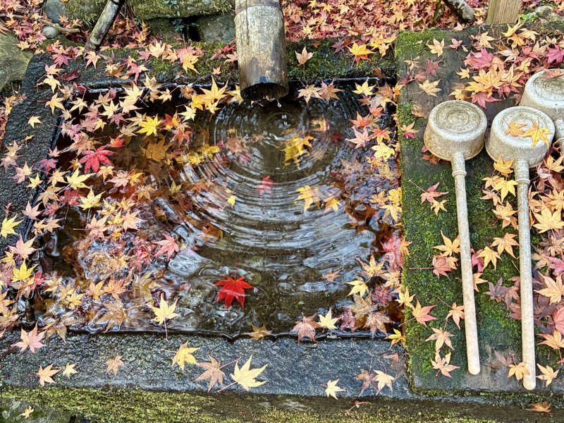 kobanさんの積善温泉 美笹のゆのサ活写真