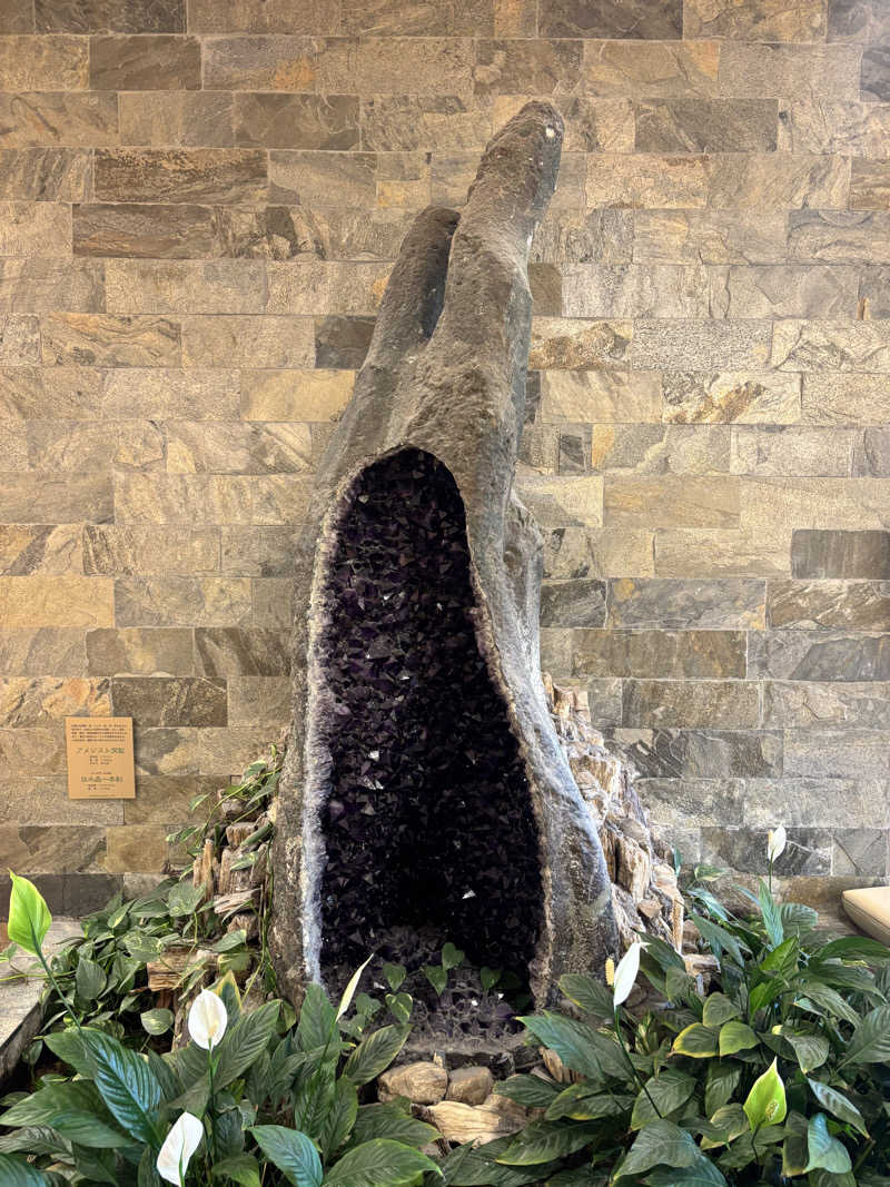 メシソン増田さんの豊島園 庭の湯のサ活写真