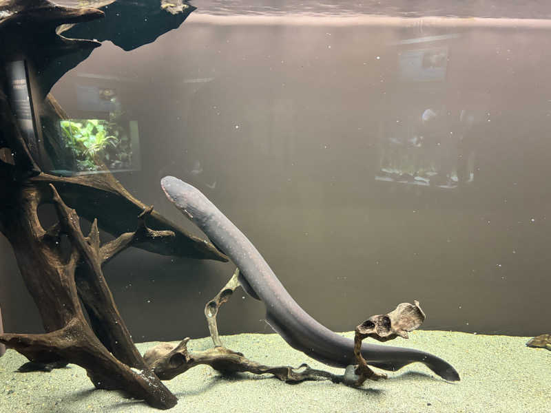 メシソン増田さんの田辺温熱保養所のサ活写真