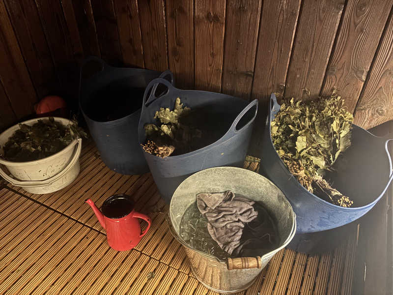 メシソン増田さんの天空のアジト マルシンスパのサ活写真