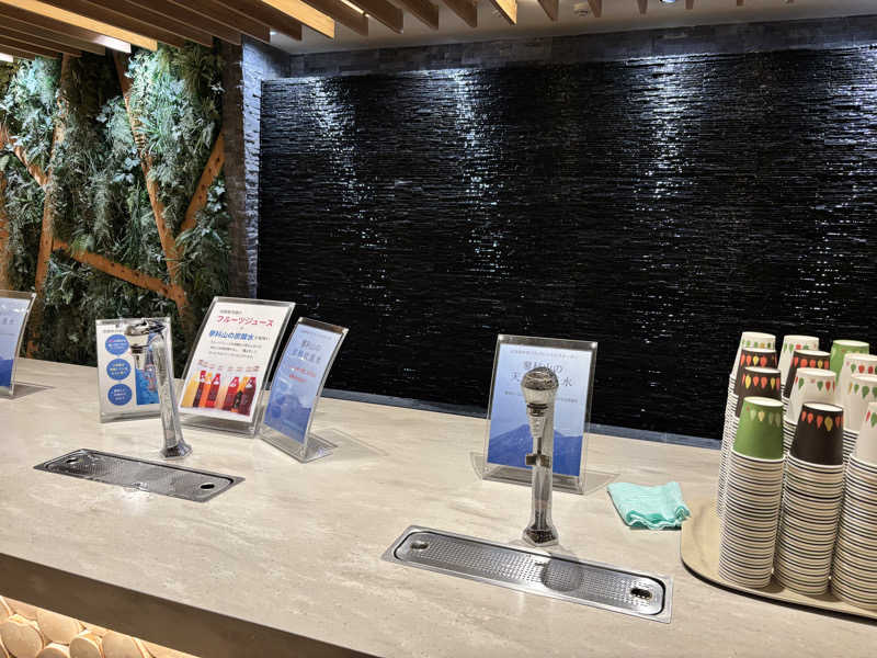 メシソン増田さんの白樺リゾート 池の平ホテル「湖天の湯」のサ活写真