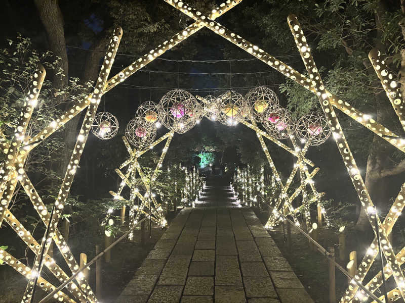 メシソン増田さんのよみうりランド眺望温泉 花景の湯のサ活写真