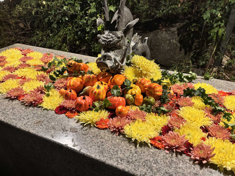 メシソン増田さんのよみうりランド眺望温泉 花景の湯のサ活写真