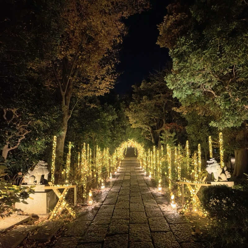 メシソン増田さんのよみうりランド眺望温泉 花景の湯のサ活写真