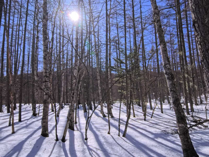 メシソン増田さんの八峰の湯(ヤッホーの湯)のサ活写真